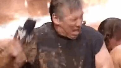 vince mcmahon