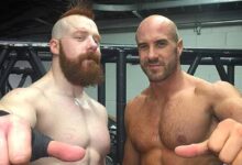 sheamus, claudio castagnoli, cesaro