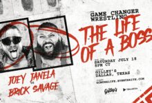 gcw life of a boss