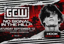 HOOK gcw