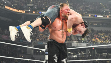 john cena, brock lesnar