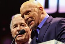 stone cold steve austin, bret hart