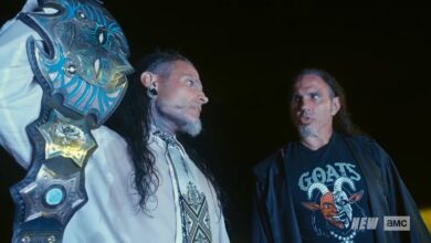 the hardys, matt hardy, jeff hardy