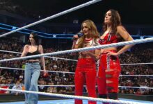 Nikki Bella