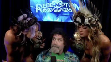 mick foley