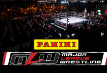 mlw panini