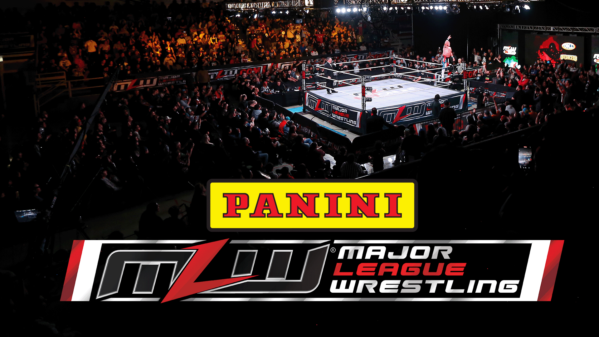 mlw panini