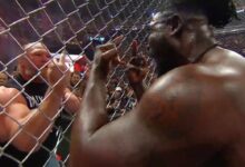 WWE Brock Lesnar Oba Femi Netflix