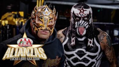 lucha bros
