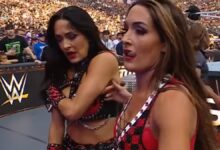 brie bella