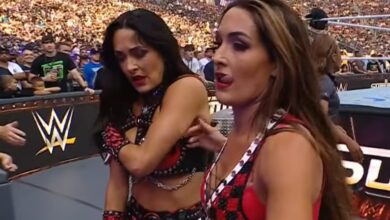 brie bella