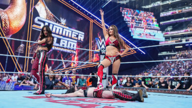 bella twins, nikki bella, brie bella, paige