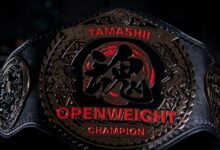 NJPW TAMASHII Openweight Championship, NJPW TAMASHII Openweight Title