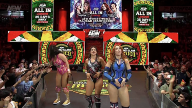 AEW All In London Brawling Birds