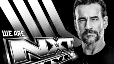 cm punk nxt