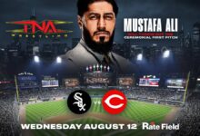 Mustafa Ali Fight Size
