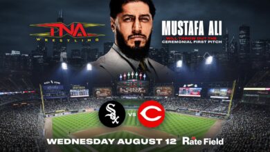 Mustafa Ali Fight Size