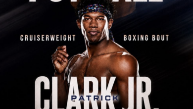 patrick clark velveteen dream