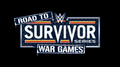 wwe road to survivor series