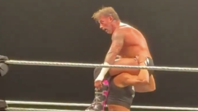 cm punk myka lockwood
