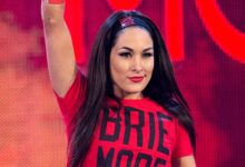brie bella