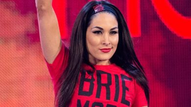 brie bella