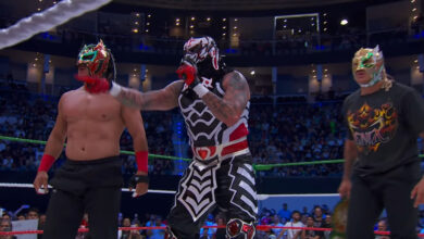 Dragon Lee, Penta, Rey Fenix, Lucha Brothers