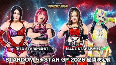 stadom 5 star grand prix