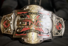 tna x division bound for glory