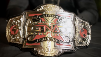 tna x division bound for glory