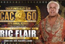 Ric Flair