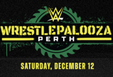 wwe wrestlepalooza