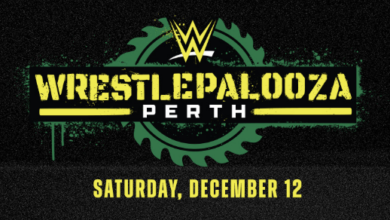 wwe wrestlepalooza