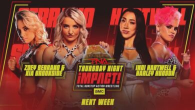 Zoey Stark, Xia Brookside, Indi Hartwell, Harley Hudson