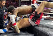 velveteen dream