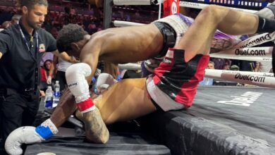 velveteen dream