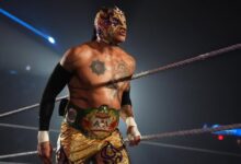 Rey Fenix