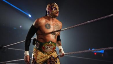 Rey Fenix