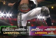 AEW Dynasty