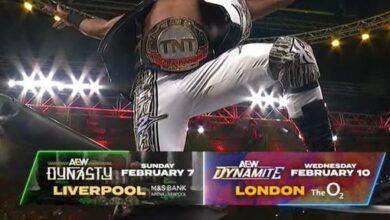 AEW Dynasty