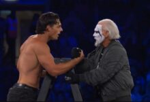 darby allin sting steven borden