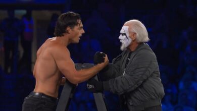 darby allin sting steven borden