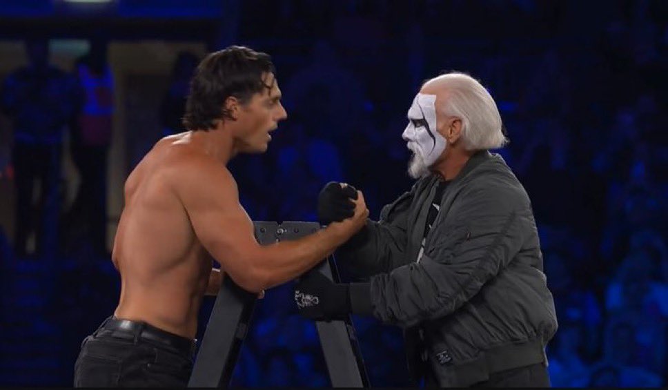 darby allin sting steven borden