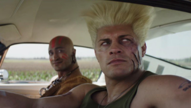 cody rhodes street fighter