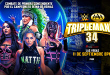 aaa Triplemania 34