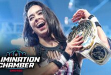 aj lee