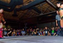 Brian Cage, Rick Knox, Tessa Blanchard