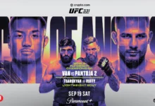 ufc 331