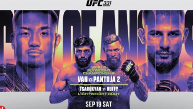 ufc 331