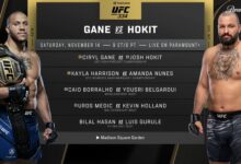 ufc 334